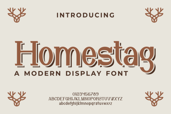 Homestag: Where Modern Typography Meets Authentic Character