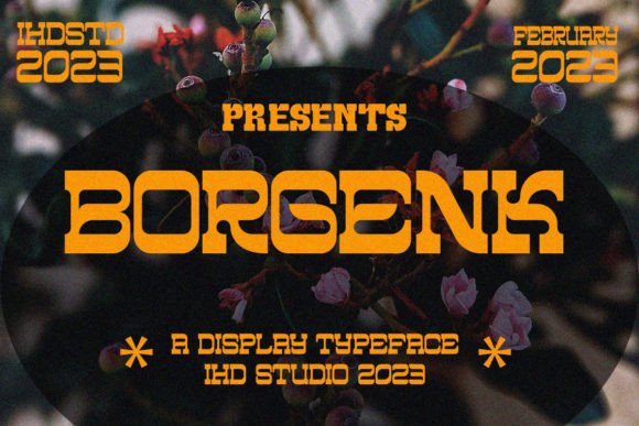 Unlocking Visual Impact: A Comprehensive Guide to the Borgenk Display Font